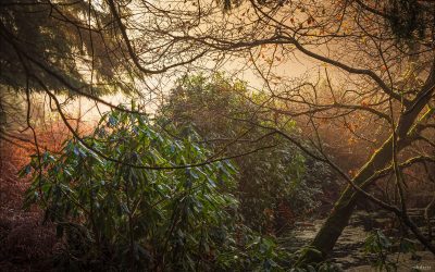 A Touch of Autumn