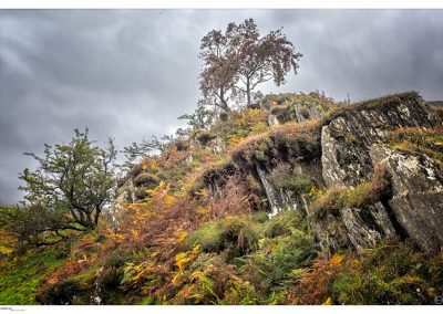 Deepest Wales